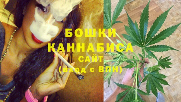 гидра Лагань